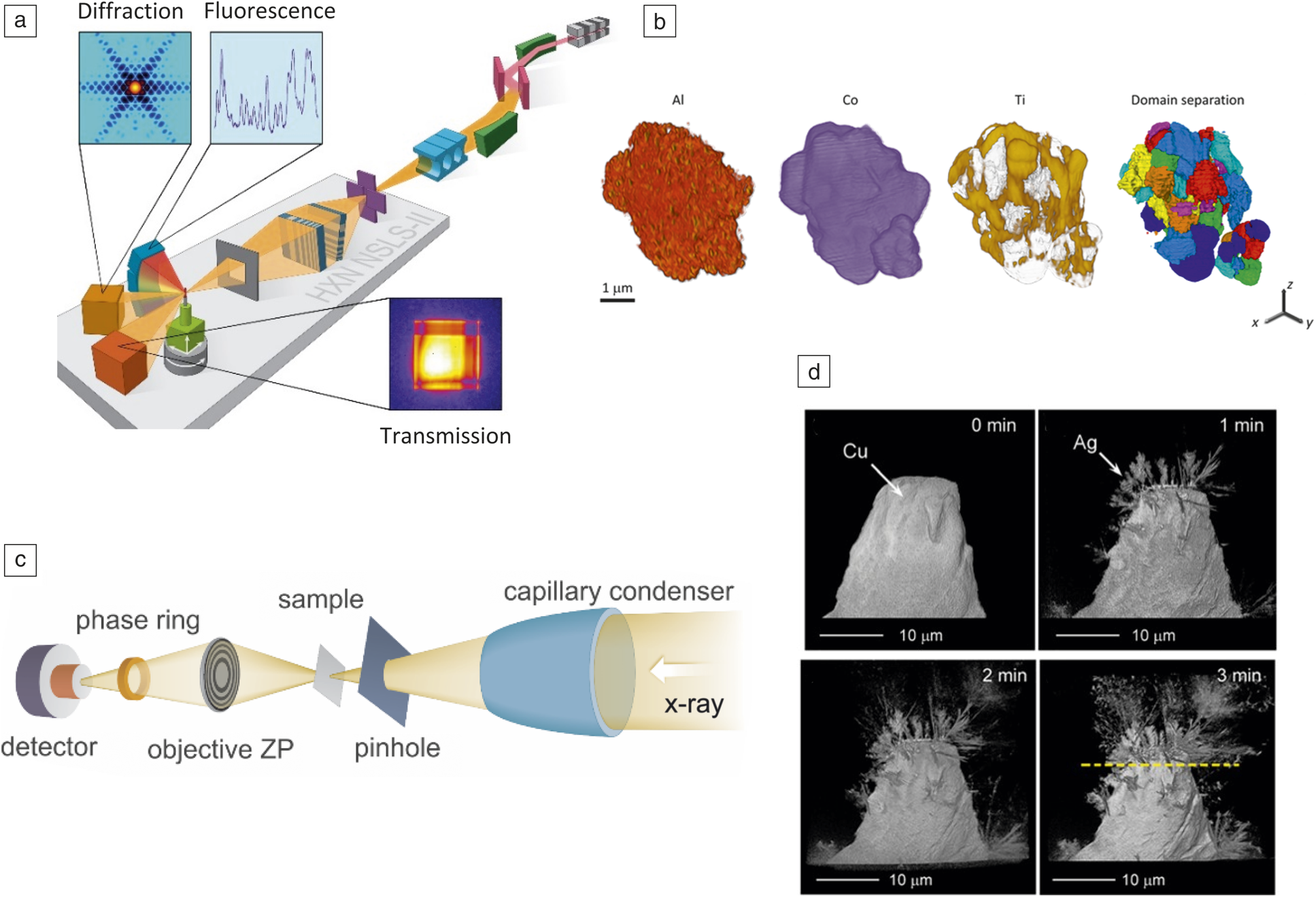 Nanoscale X-ray And Electron Tomography | MRS Bulletin | Cambridge Core