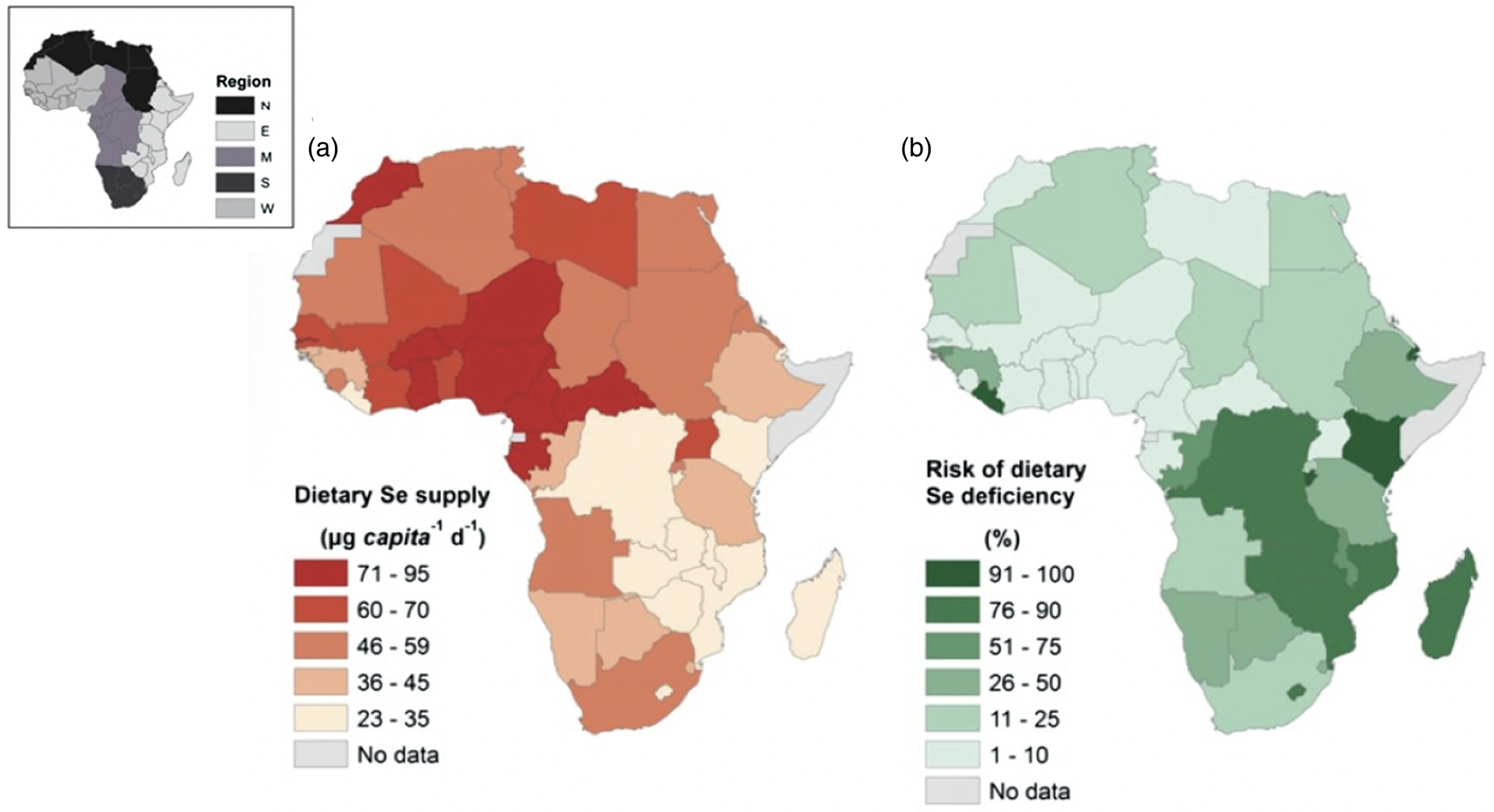 Selenium deficiency risks in subSaharan African food systems and their