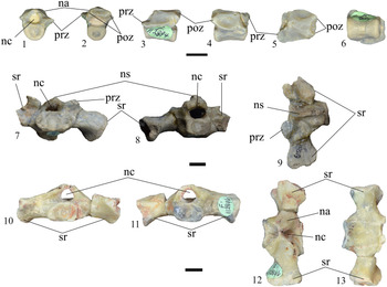 Figure 7