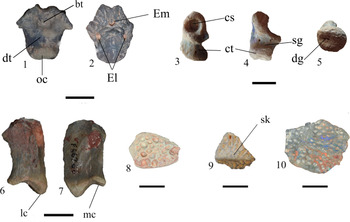 Figure 5