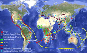 Global transmission and evolutionary dynamics of the Chikungunya virus ...