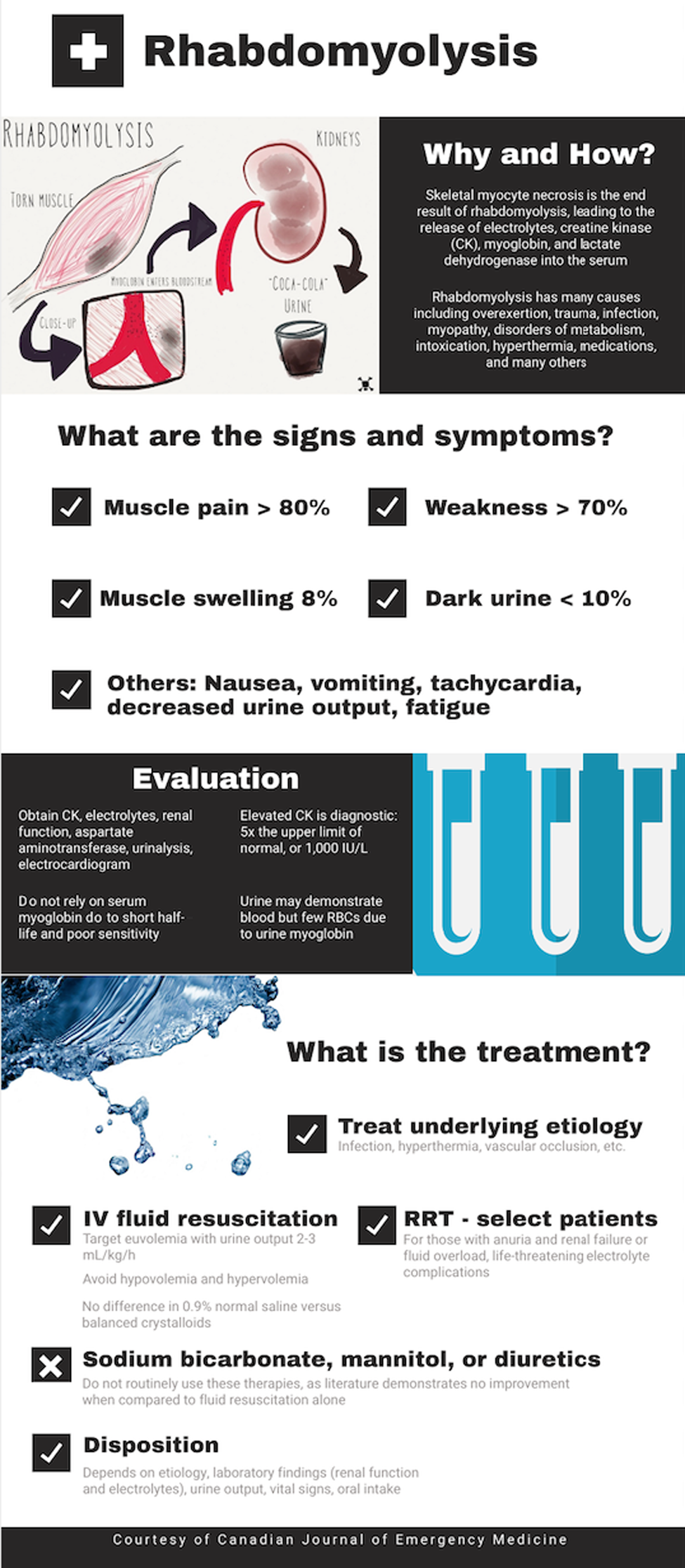 Just The Facts Diagnosis And Management Of Rhabdomyolysis Canadian   Urn Cambridge.org Id Binary Alt 20210603100746 35018 OptimisedImage S1481803520000378 Fig1 