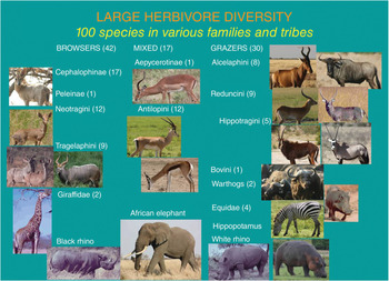 The Big Mammal Menagerie: Herbivores, Carnivores and Their Ecosystem  Impacts (Part III) - Only in Africa