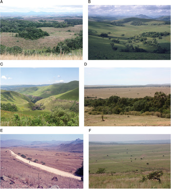 Double stress of waterlogging and drought drives forest–savanna