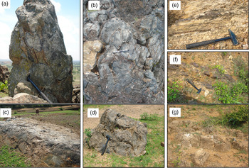 Mafic rocks with back-arc E-MORB affinity from the Chotanagpur 