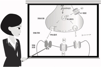 Multimedia Learning with Media (Part VIII) - The Cambridge Handbook of  Multimedia Learning