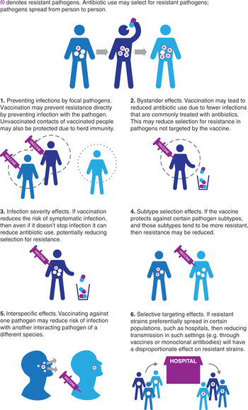 Pan-Canadian Action Plan on Antimicrobial Resistance 