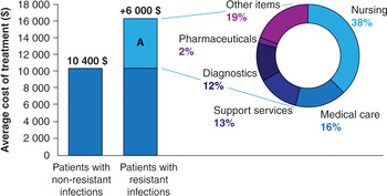 The Health And Economic Burden Of Antimicrobial Resistance (Chapter 2 ...