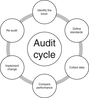 clinical audit cycle