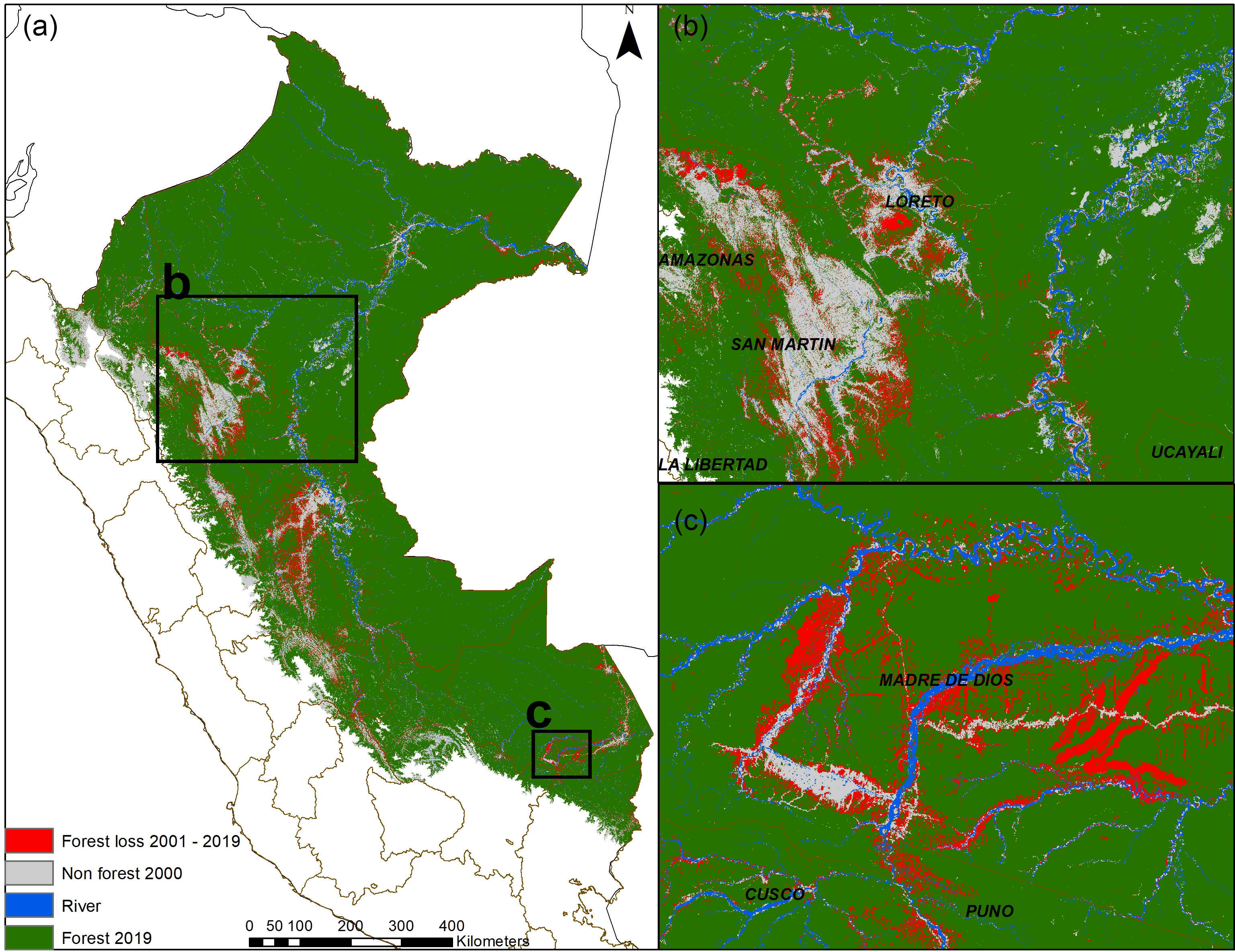 Deforestation risk in the Peruvian Amazon basin | Environmental ...