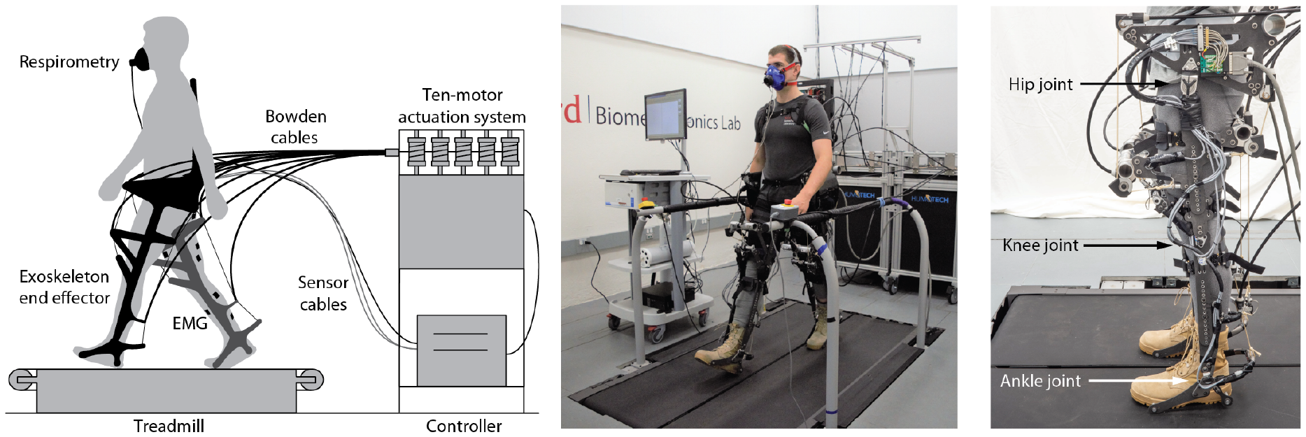 Comparing optimized exoskeleton assistance of the hip, knee, and ankle ...
