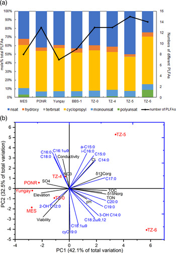 ｖｓ ２００ｆ ｌ ｒ ダイヤトーン Www Nestorscapes Com