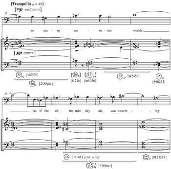 A Kind of Light (Chapter 6) - Elliott Carter's Late Music