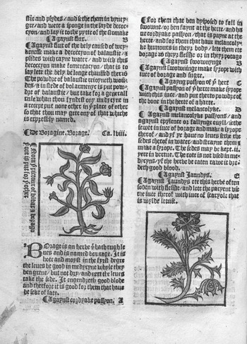 Anonymity in the Printed English Herbal (Part II) - Early