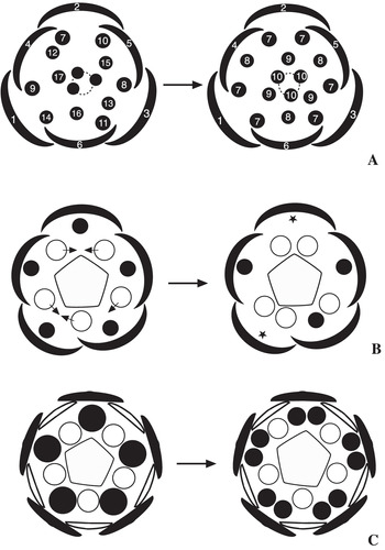 A) Inflorescences and (B) displacement of the anther crest (arrow