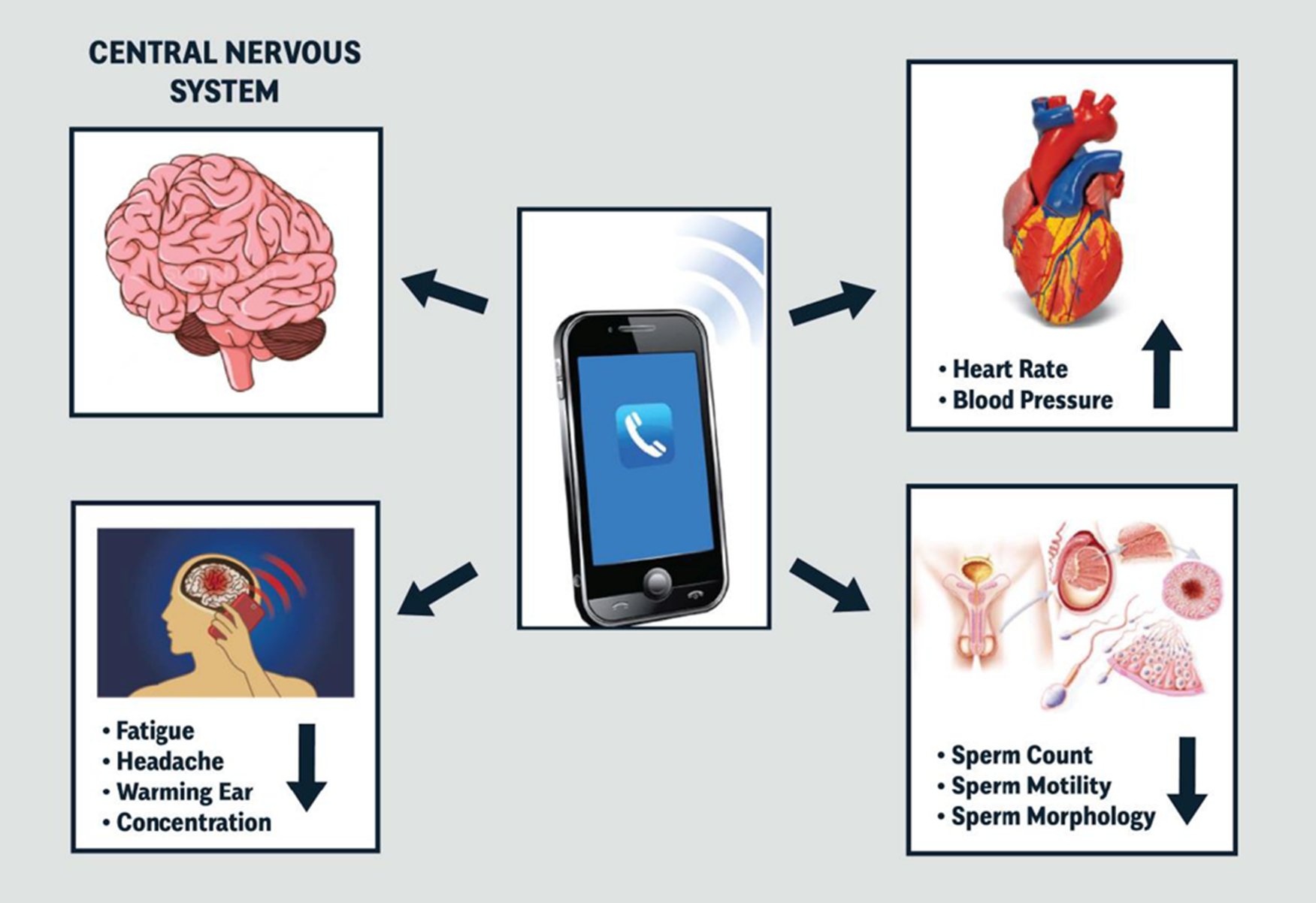 Effects of mobile phone radiofrequency radiation on sperm quality ...