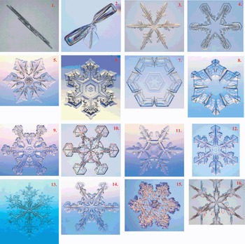 Snowflake - December 2017, 7 x 6 x 1 in (18 x 15 x 2.5 cm