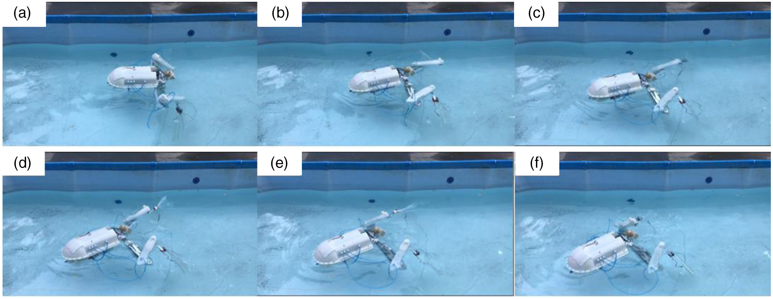 Research On Frog-inspired Swimming Robot Driven By Pneumatic Muscles ...