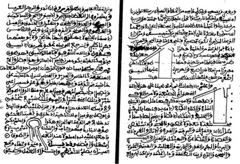 Writing the Mathematical and Natural Sciences (Chapter 4 ...