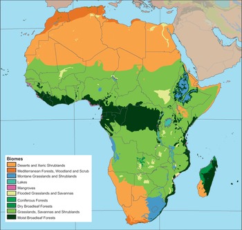 Approaches to the Study of Past Environments (Chapter 2) - African ...