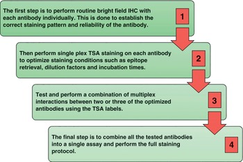 Immunohistochemistry for Future Applications Chapter 9