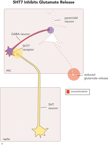 Psychosis Schizophrenia and the Neurotransmitter Networks