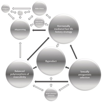 Controversies and Unresolved Issues (Part I) - The Cambridge Handbook of  Evolutionary Perspectives on Sexual Psychology