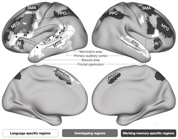 What about “space” is important for episodic memory? - Fan - 2023 - WIREs  Cognitive Science - Wiley Online Library