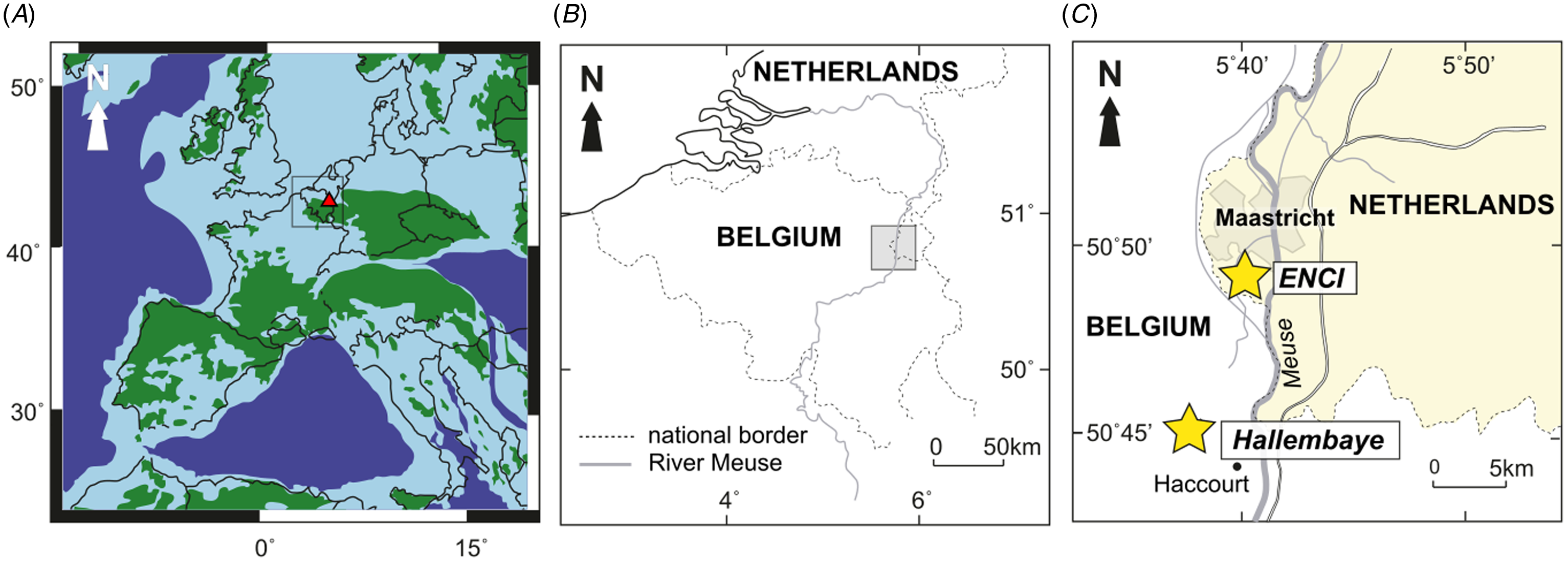 The Benthic Foraminiferal Response To The Mid-Maastrichtian Event In ...