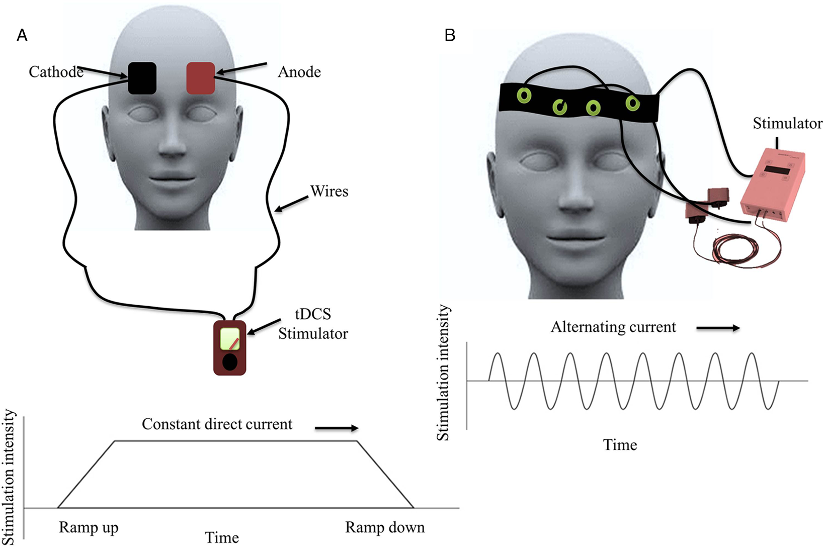 An Overview Of Noninvasive Brain Stimulation: Basic Principles And ...