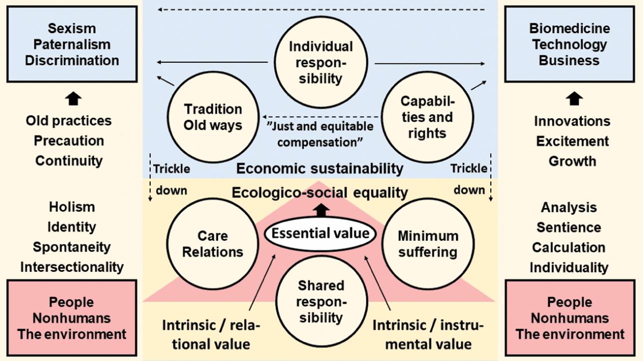 Roles Of Justice In Bioethics