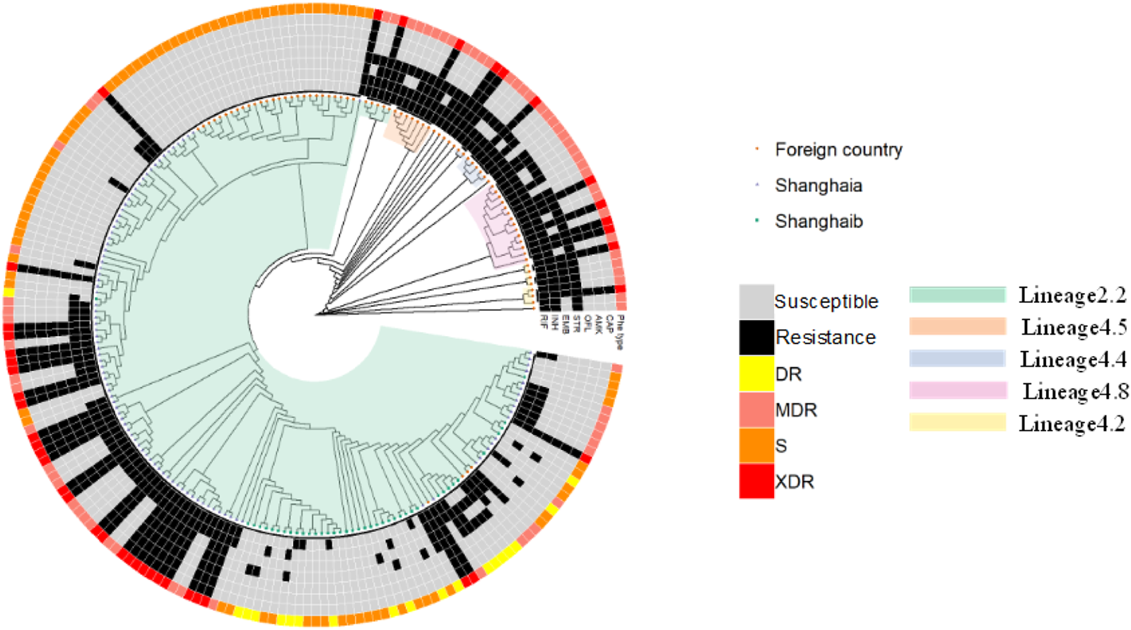 Tb Database Whole-genome sequencing of Mycobacterium tuberculosis for prediction of ...