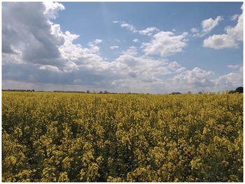 Managing Risks to Improve the Resilience of Arable Farming in the East ...