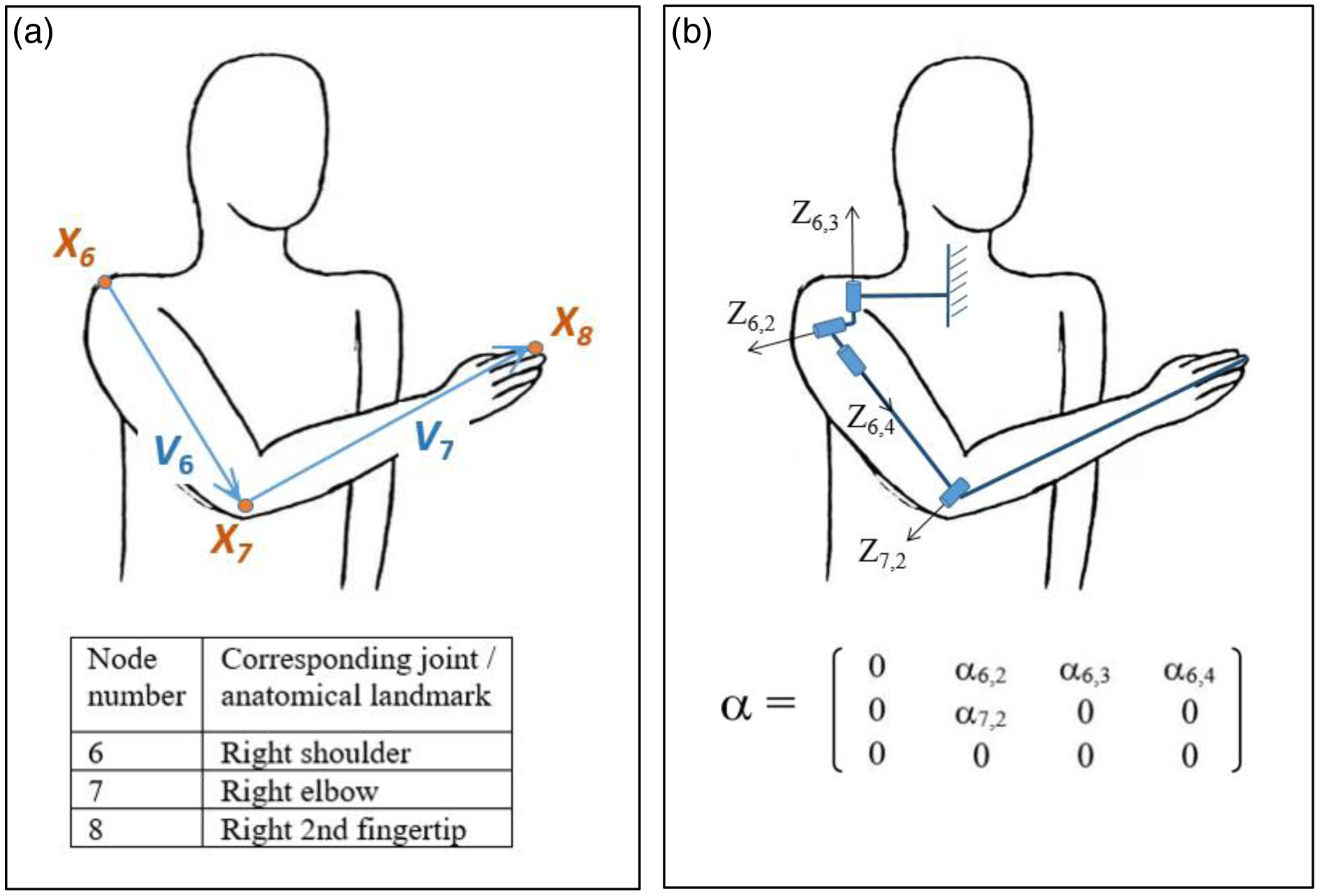 Determining human upper limb postures with a developed inverse ...