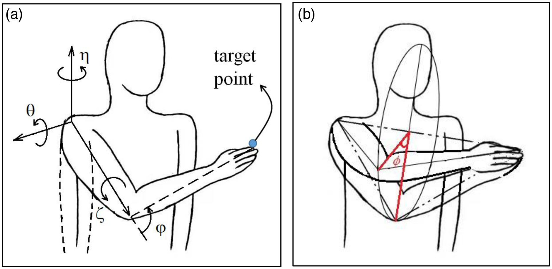 Determining human upper limb postures with a developed inverse ...