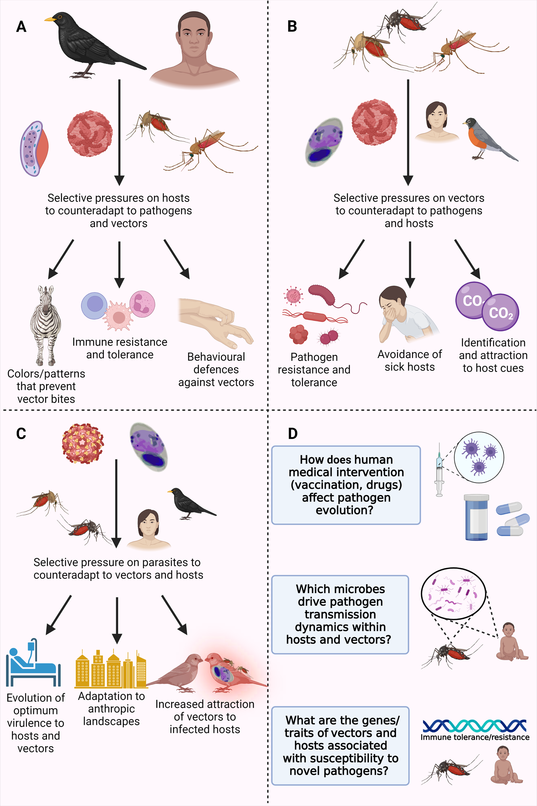 Evolutionary Consequences Of Vector-borne Transmission: How Using ...