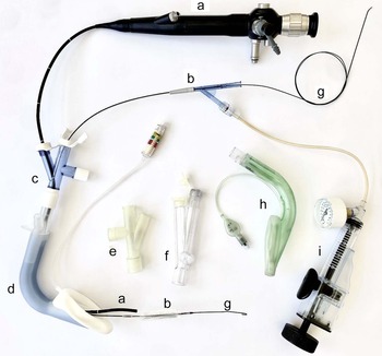 How we do it: endoscopic tracheal dilatation technique using a ...