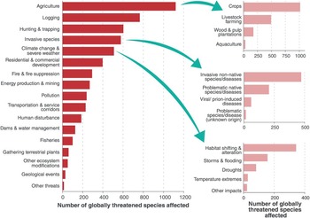 Lost: Accelerating deforestation a major threat to birds - BirdLife  International