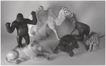 Defining Zoos, Their Culture and Visitors (Chapter 2) - Zoo Studies