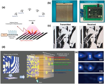 Programmable metamaterials | Programmable Materials | Cambridge Core