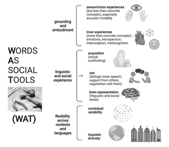 Broca's area involvement in abstract and concrete word acquisition