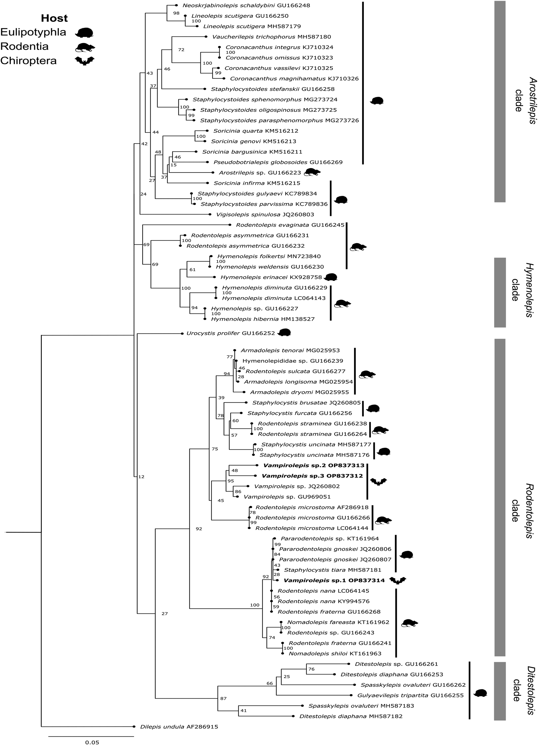 Survey on helminths of bats in the Yucatan Peninsula infection levels