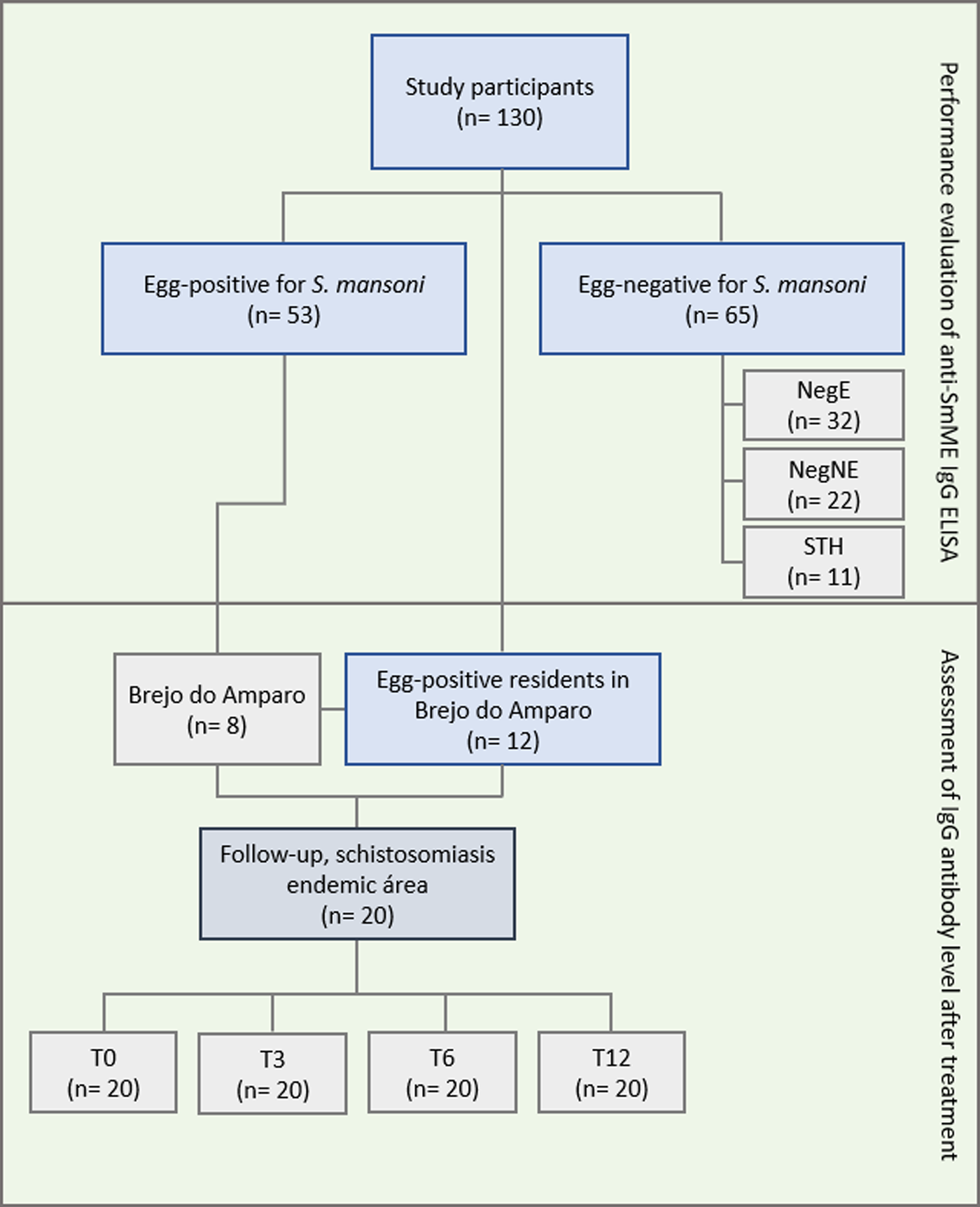 Development and evaluation of an indirect ELISA using a multiepitope ...