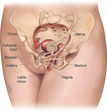 Figure 0
