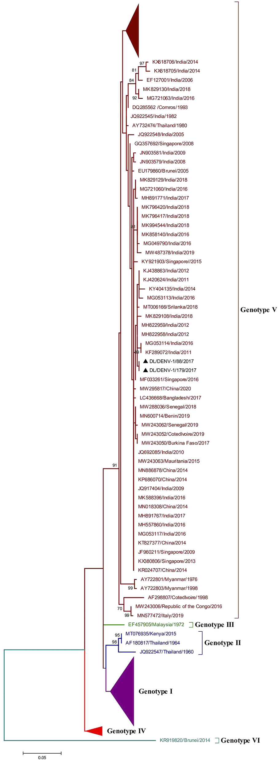 Global and local evolutionary dynamics of Dengue virus serotypes 1, 3 ...