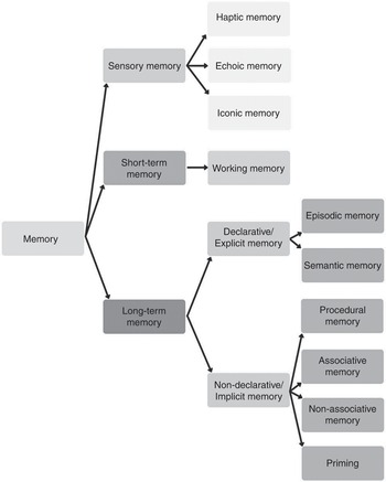 An Overview of the Model Part 1 Cambridge Guide to