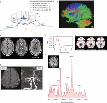 Basic Techniques in Neuroscience (Chapter 3) - Cambridge Textbook