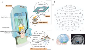 Basic Techniques in Neuroscience (Chapter 3) - Cambridge Textbook