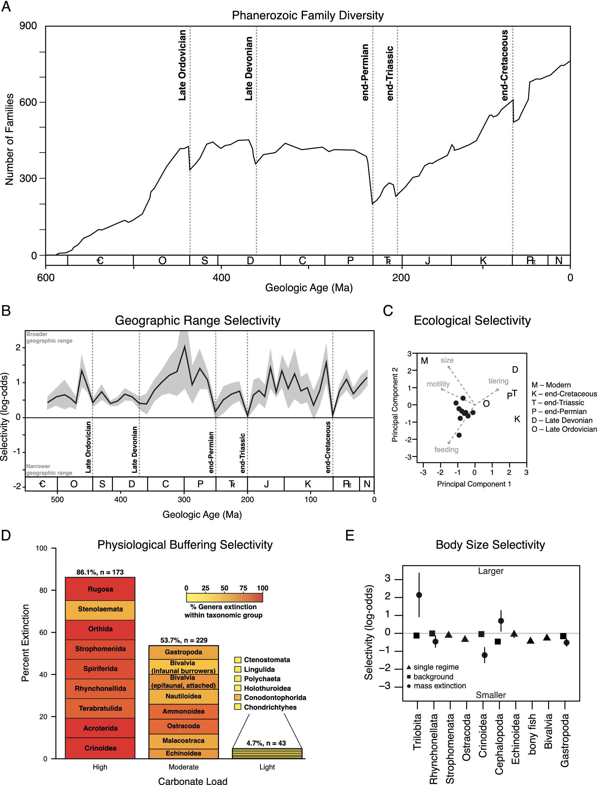 Selectivity Of Mass Extinctions: Patterns, Processes, And Future ...