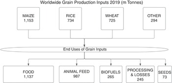 Biobased and Agricultural Transitions (Chapter 9) - Dynamic Sustainability